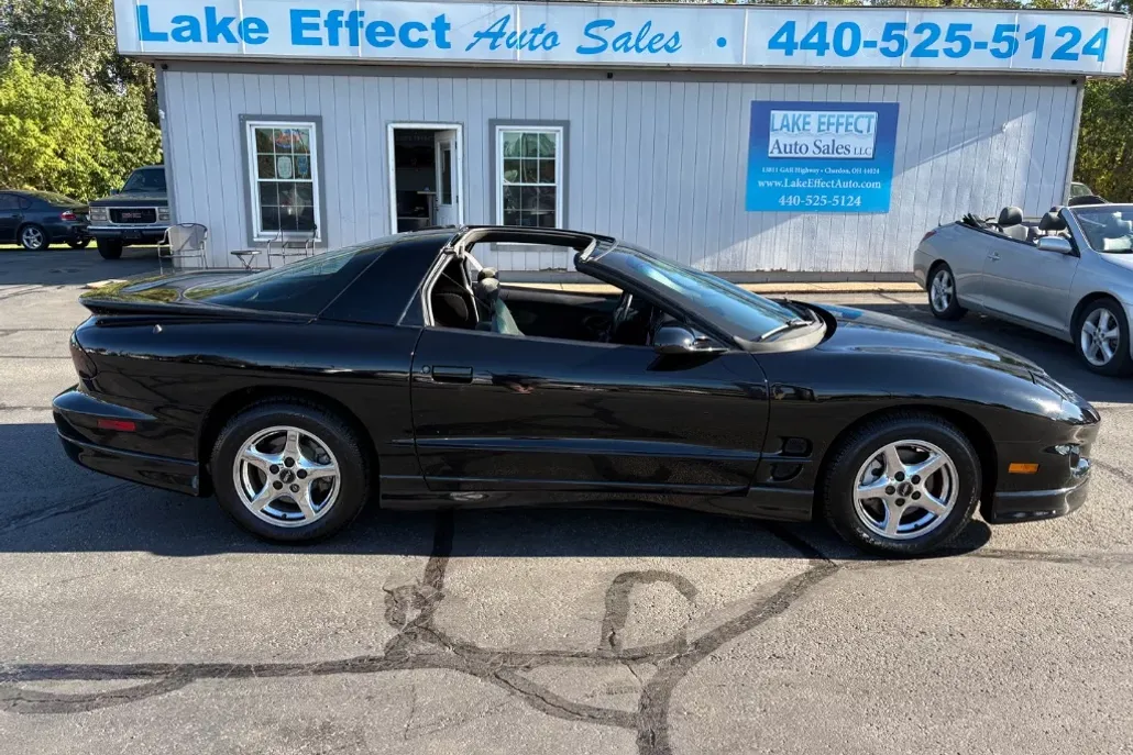 2002 Pontiac Firebird Convertible photo 1