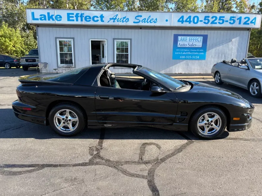 2002 Pontiac Firebird Convertible photo 1