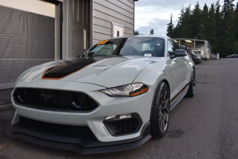2022 Ford Mustang Mach 1 photo 1