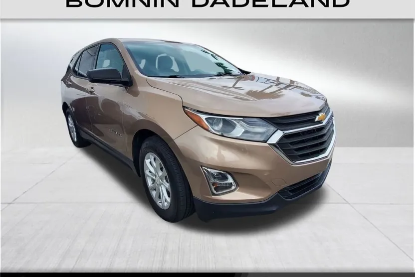 2019 Chevrolet Equinox LS photo 1