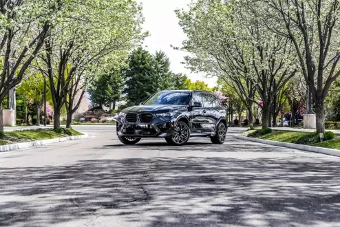 2025 Bmw X5 photo 2