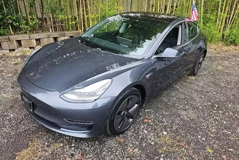 2019 Tesla Model 3 Long Range photo 1