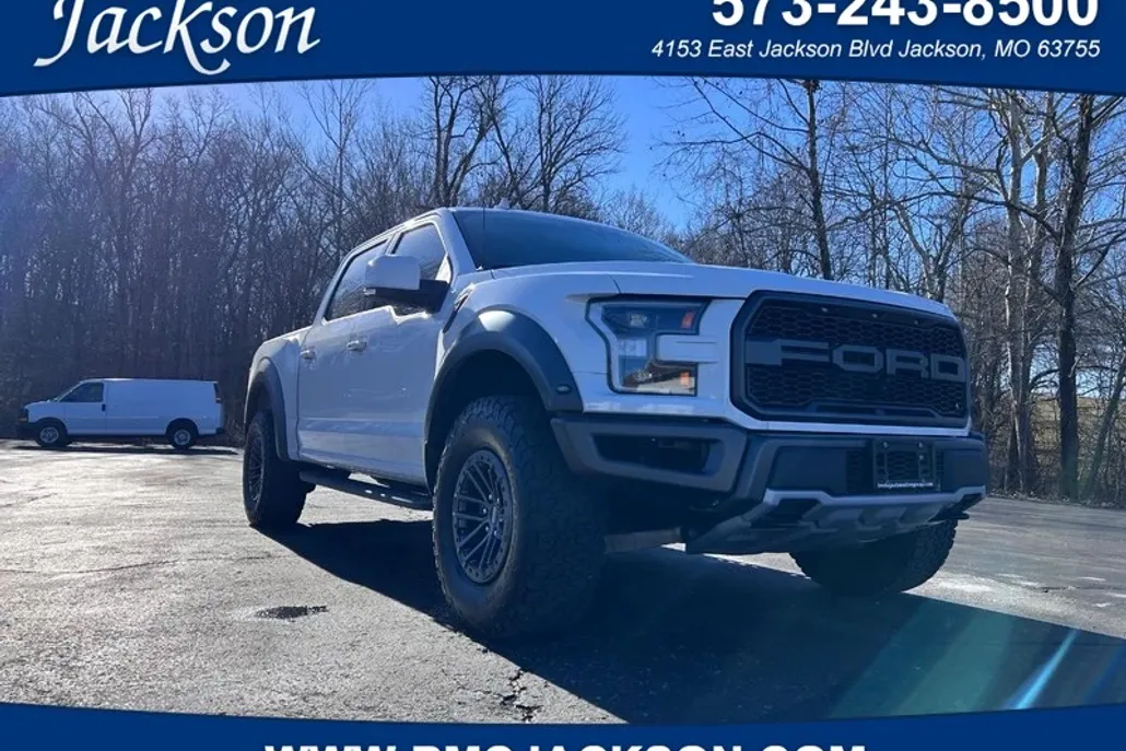 2019 Ford F-150 Raptor photo 1