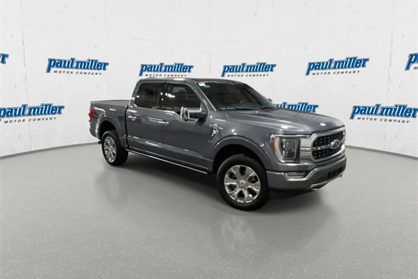 2023 Ford F-150 Platinum photo 1