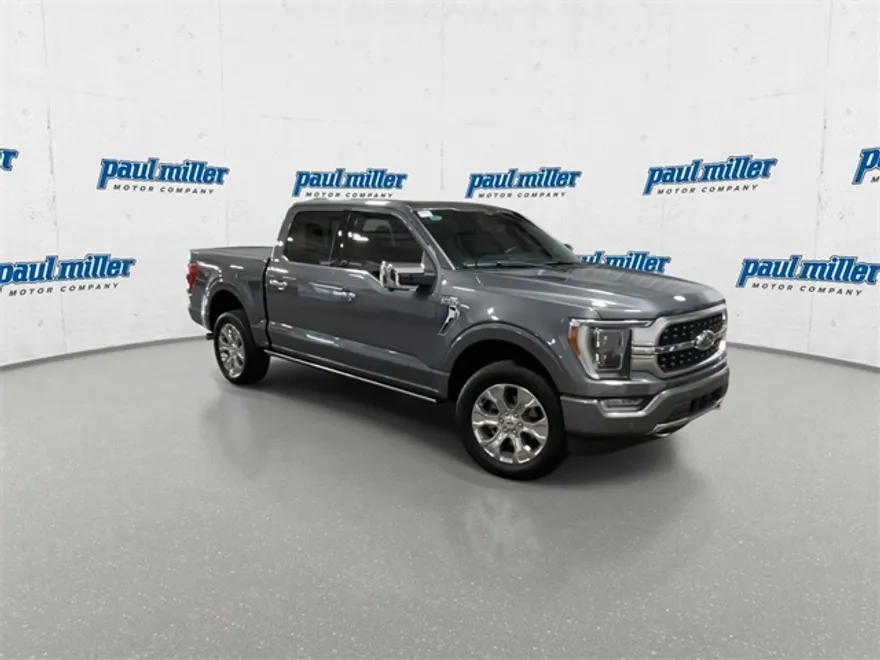 2023 Ford F-150 Platinum photo 1