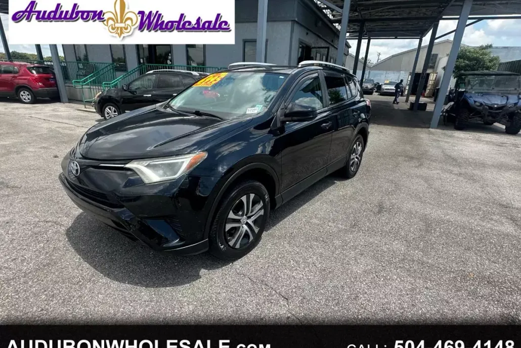 2016 Toyota RAV4 LE photo 1