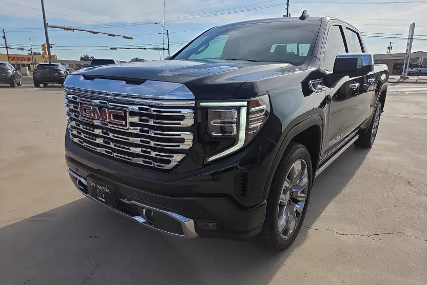 2024 Gmc Sierra 1500 Denali photo 1
