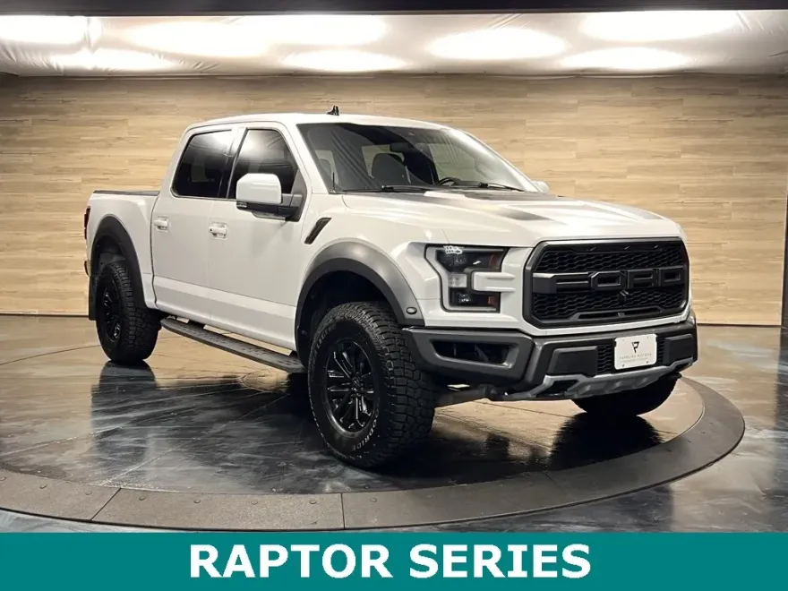 2020 Ford F-150 Raptor photo 1