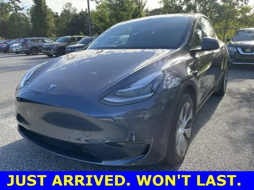 2020 Tesla Model Y Long Range photo 1