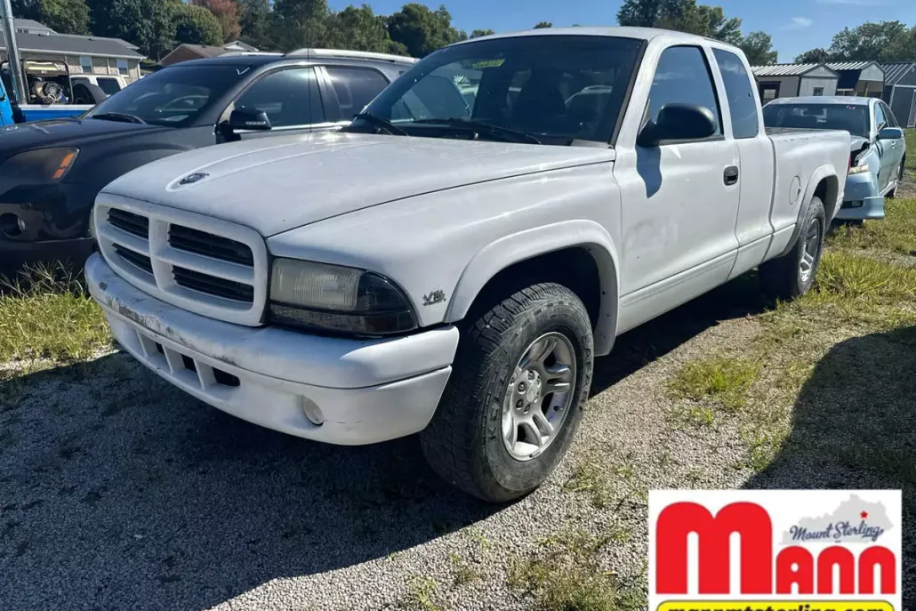 1998 Dodge Dakota Sport photo 1