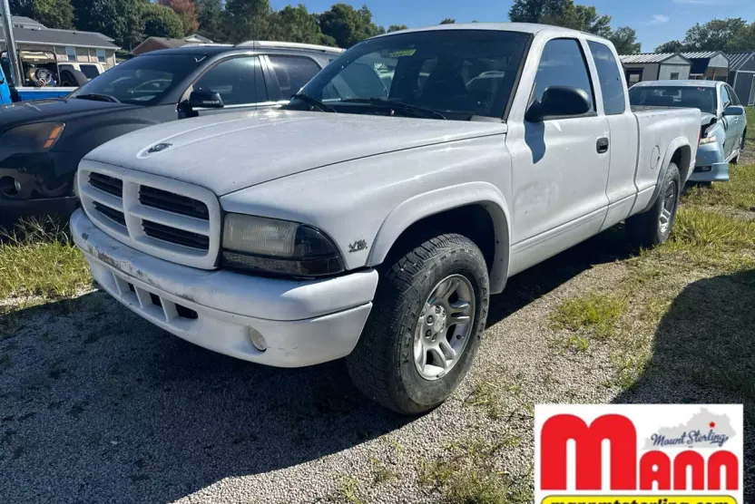 1998 Dodge Dakota Sport photo 1