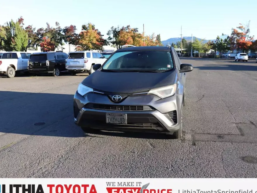 2017 Toyota RAV4 LE photo 1