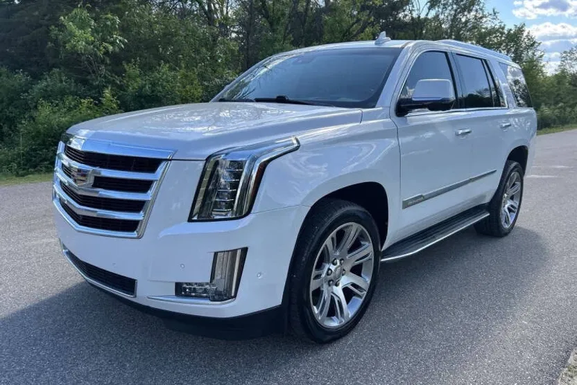 2019 Cadillac Escalade Luxury photo 1