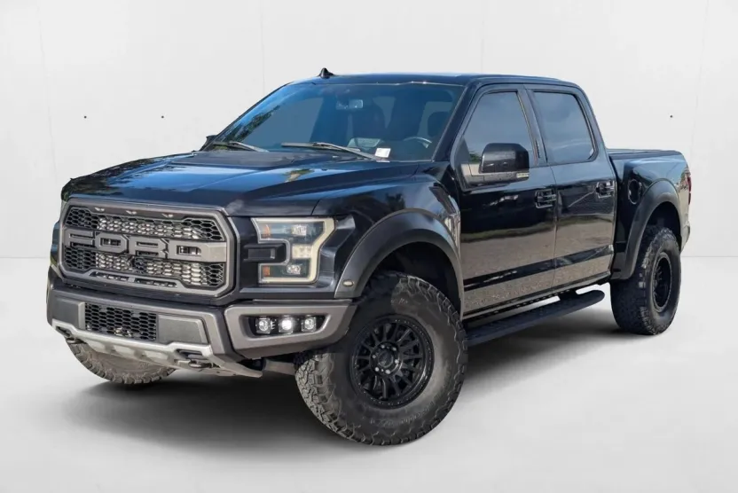 2019 Ford F-150 Raptor photo 1