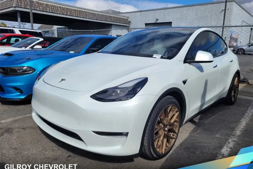 2023 Tesla Model Y Performance photo 1