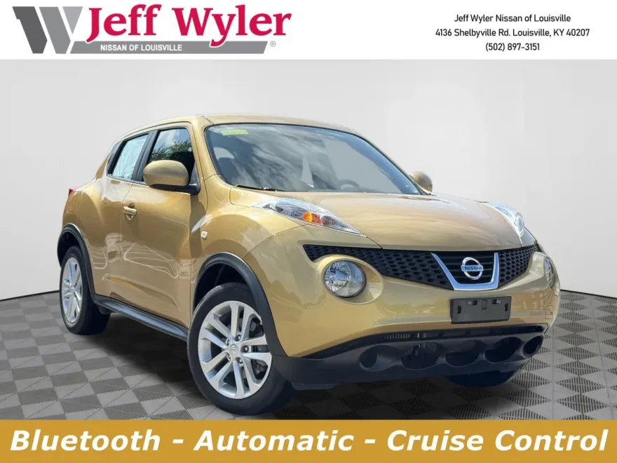 2013 Nissan Juke S photo 1