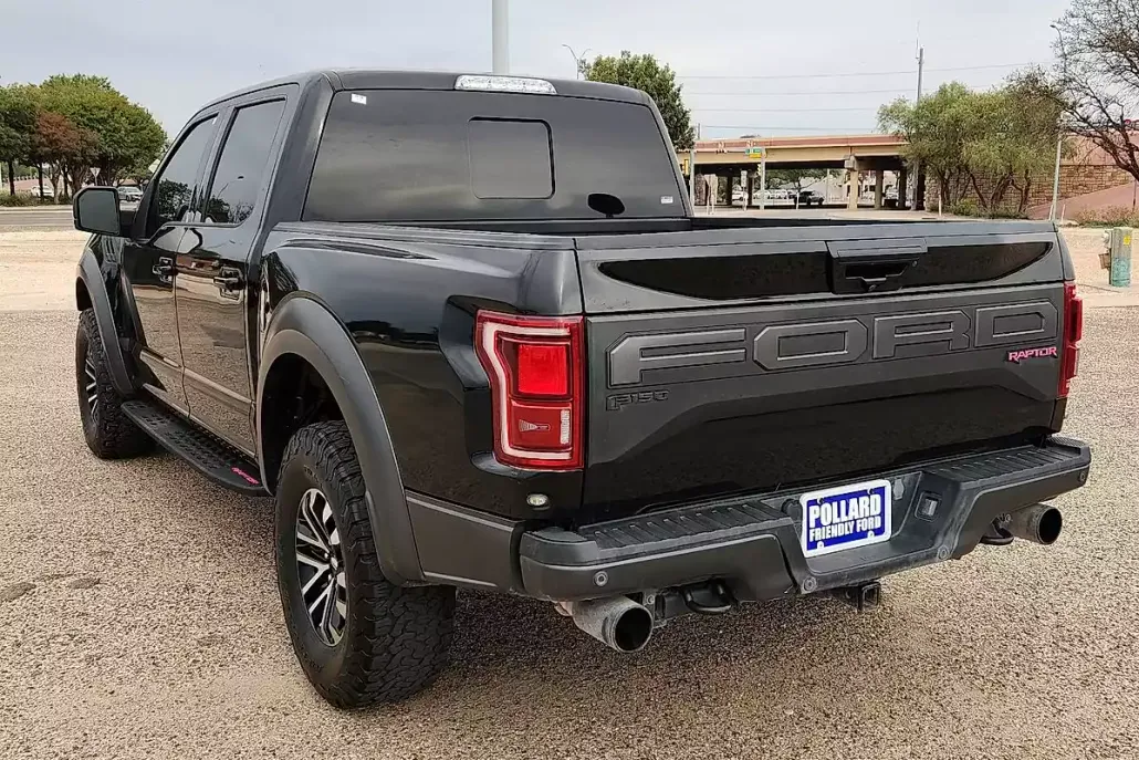 2020 Ford F-150 Raptor photo 1