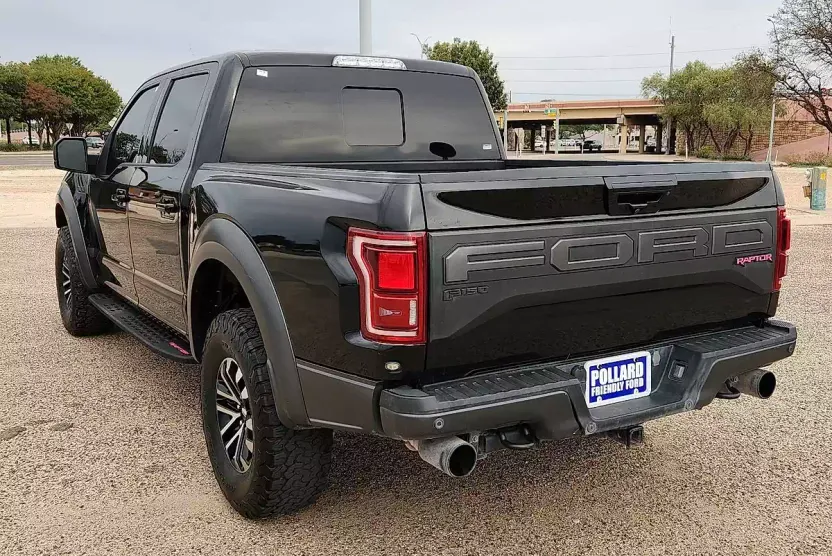 2020 Ford F-150 Raptor photo 1