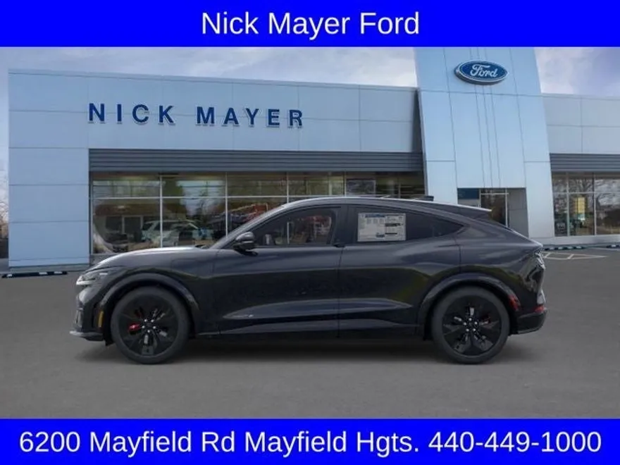 2025 Ford Mustang Mach-E GT photo 1