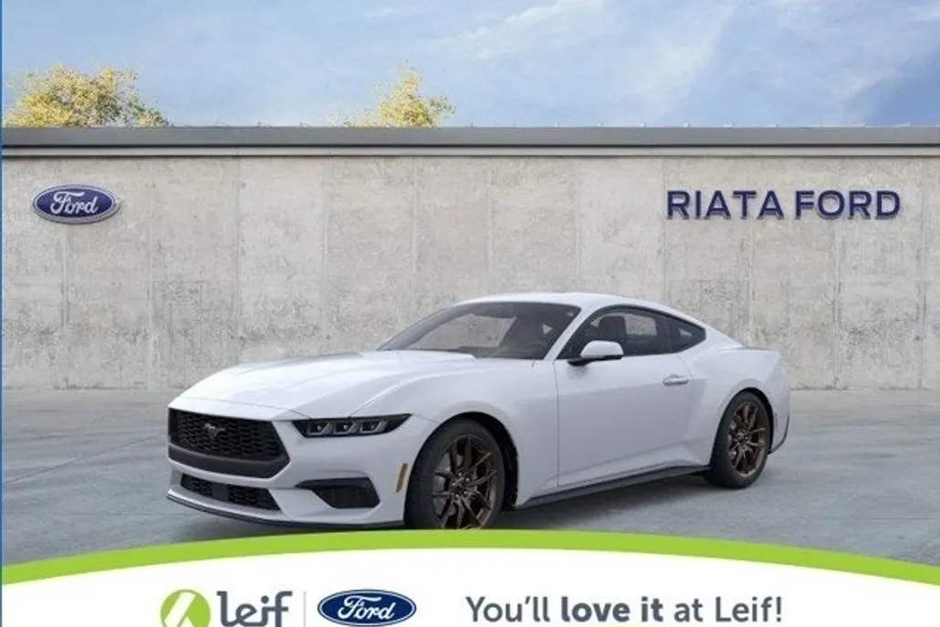 2025 Ford Mustang EcoBoost Premium photo 1