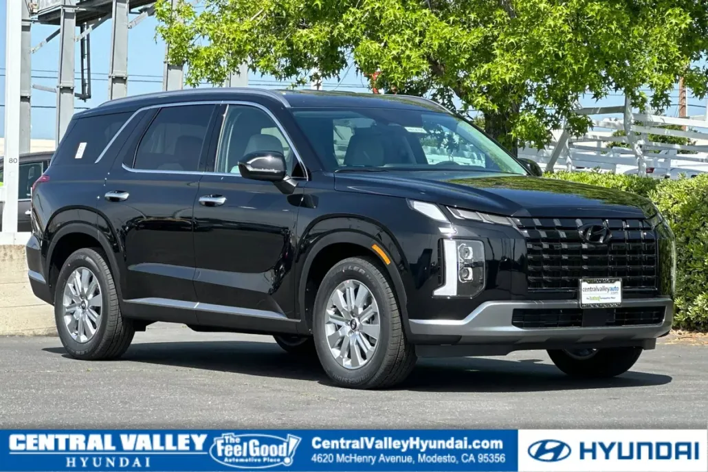2025 Hyundai Palisade SEL photo 1