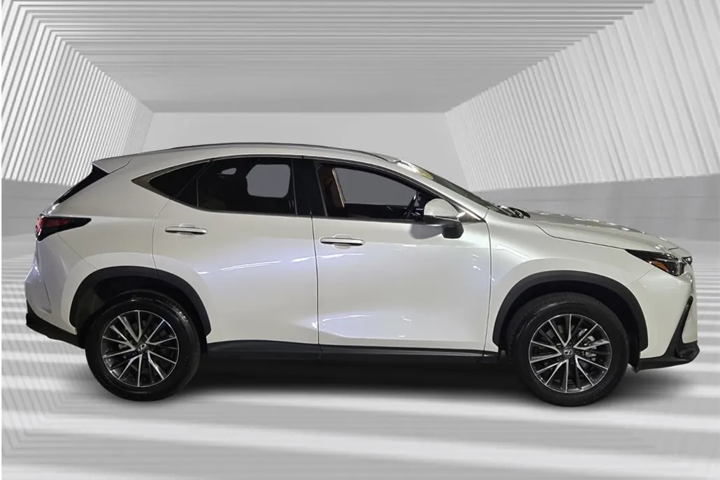 2024 Lexus NX 250 photo 1