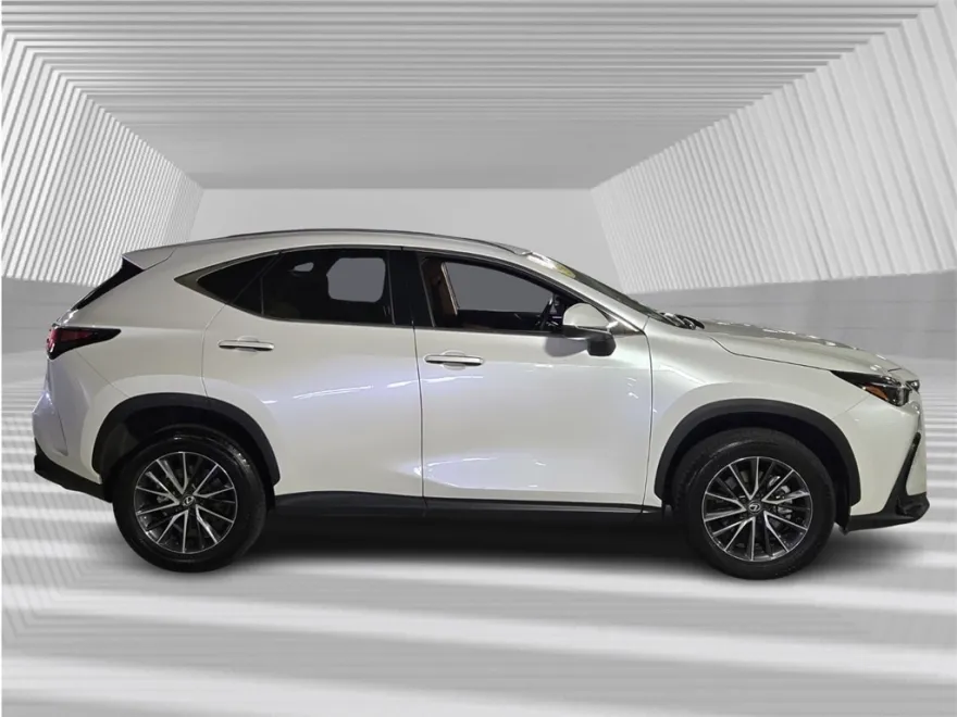 2024 Lexus NX 250 photo 1