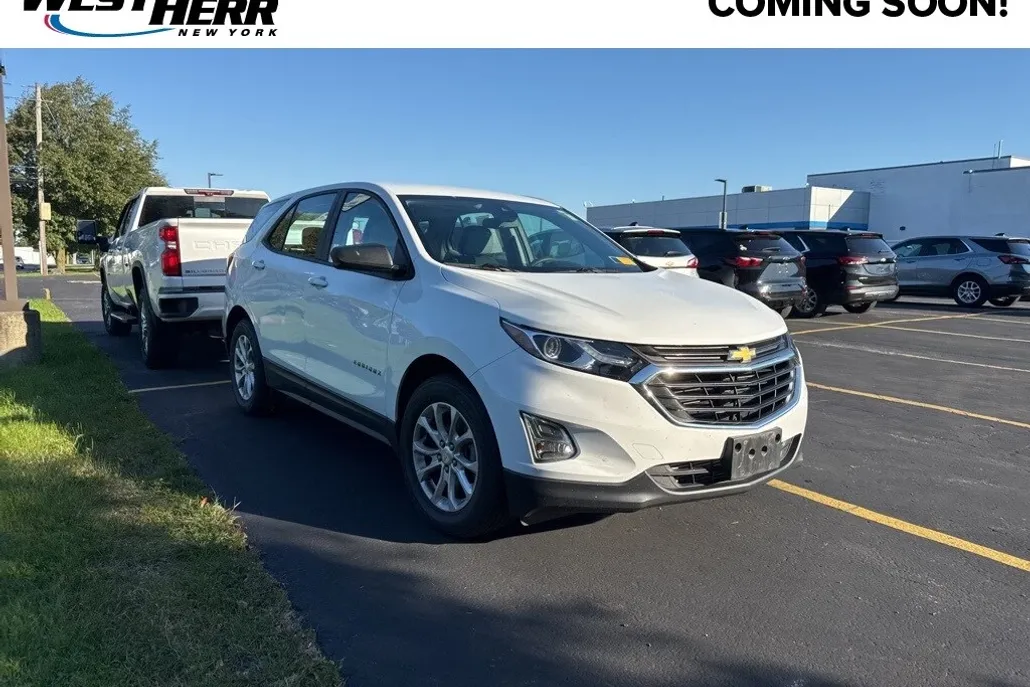 2020 Chevrolet Equinox LS photo 1