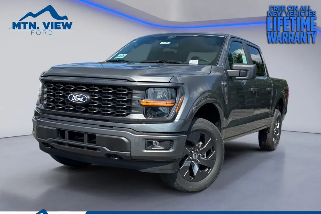 2025 Ford F-150 STX photo 1