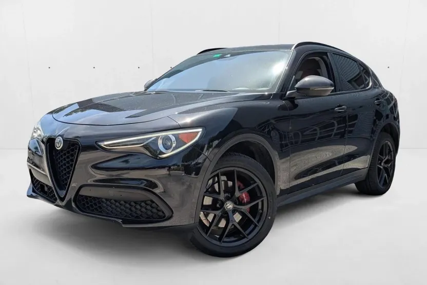 2020 Alfa Romeo Stelvio Base photo 1