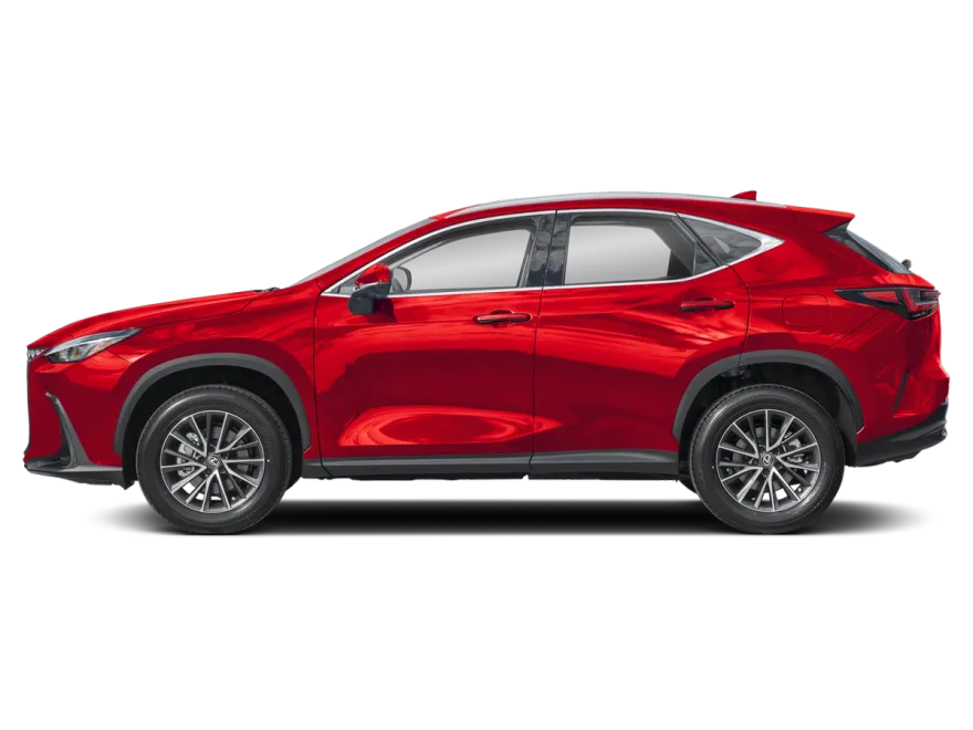 2024 Lexus NX 250 Premium photo 1
