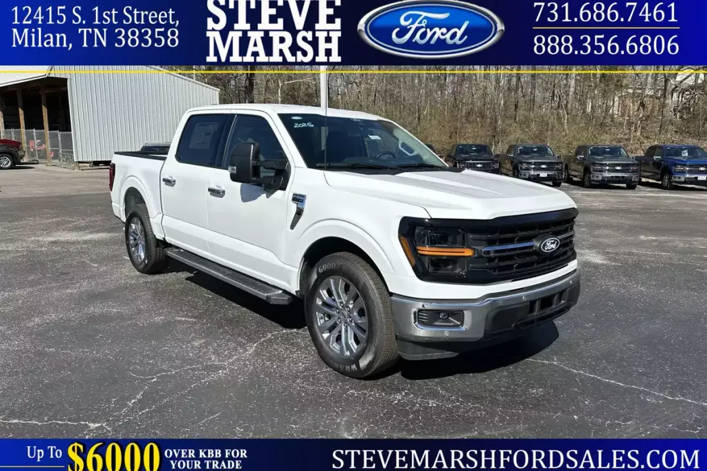 2025 Ford F-150 XLT photo 1