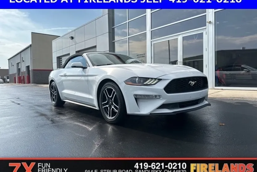 2019 Ford Mustang EcoBoost Premium photo 1