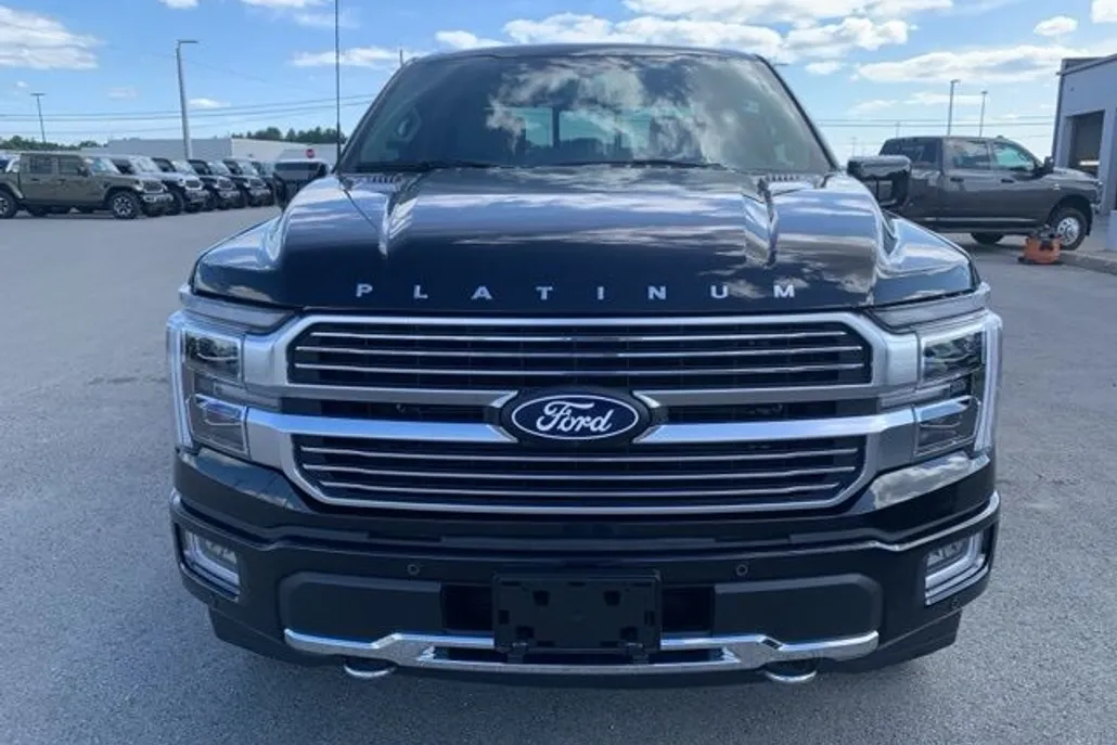 2024 Ford F-150 Platinum photo 1