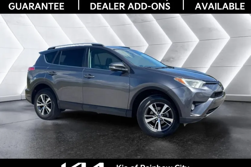 2018 Toyota RAV4 XLE photo 1
