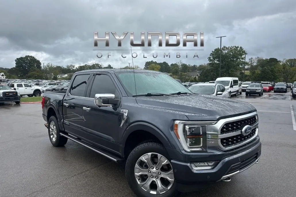 2021 Ford F-150 Platinum photo 1