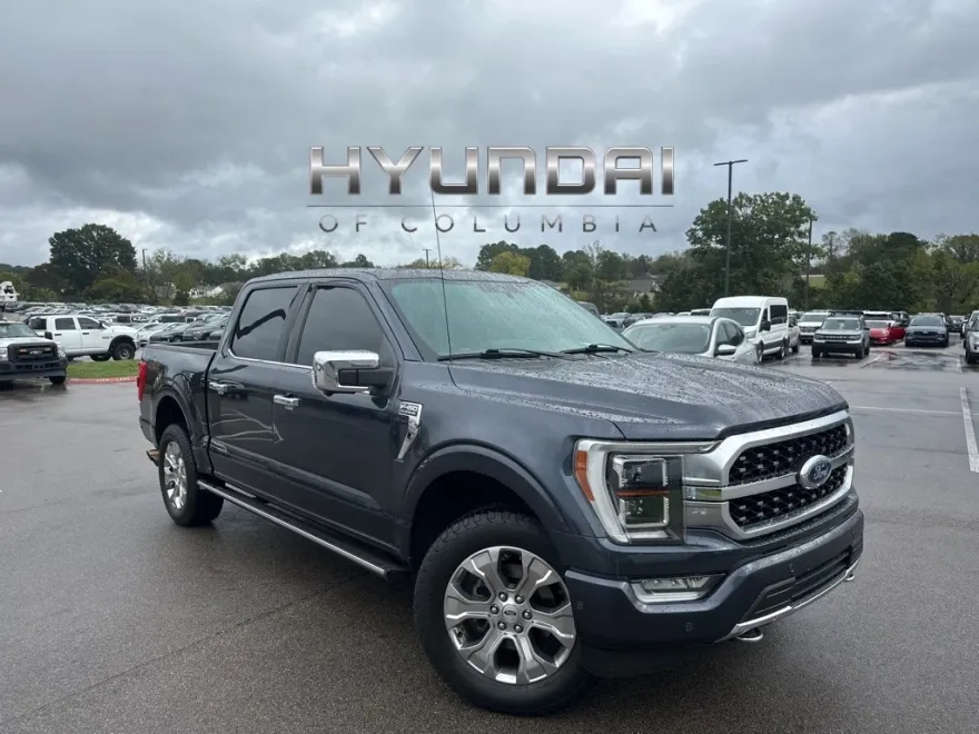 2021 Ford F-150 Platinum photo 1