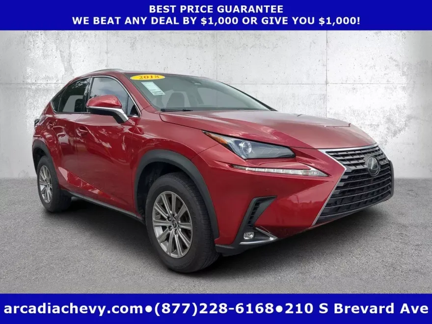 2018 Lexus NX 300 Luxury photo 1