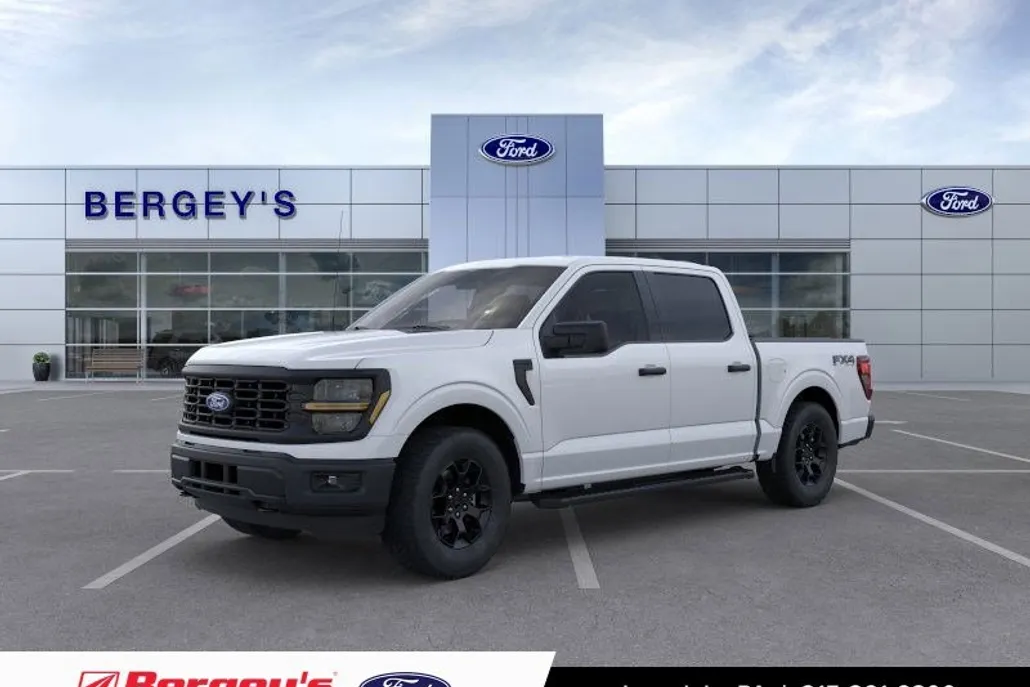 2025 Ford F-150 STX photo 1
