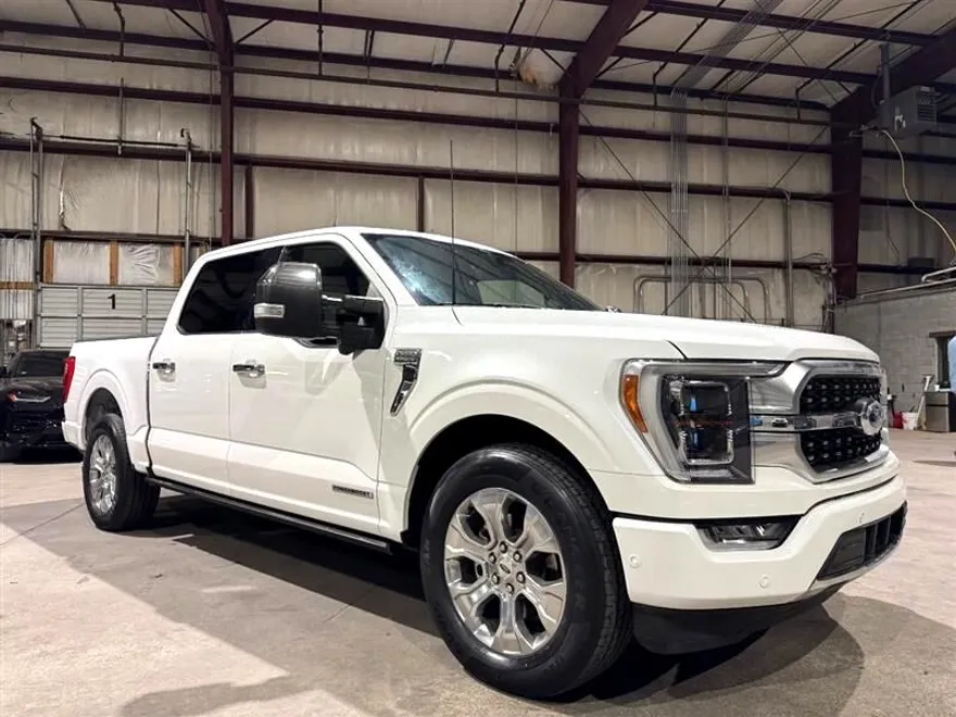 2022 Ford F-150 Platinum photo 1