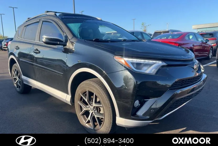 2017 Toyota RAV4 SE photo 1