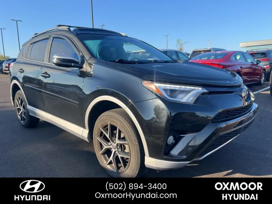 2017 Toyota RAV4 SE photo 1