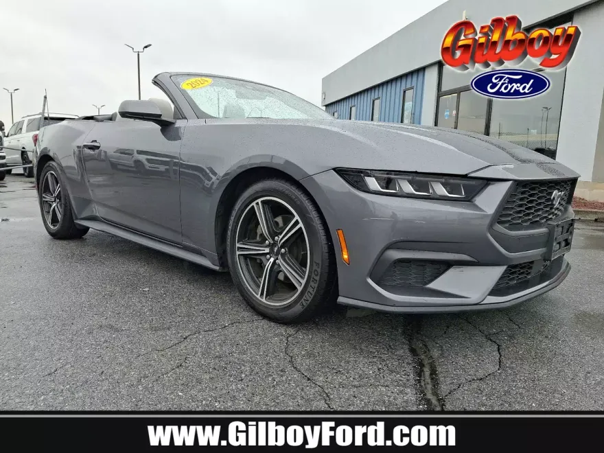 2024 Ford Mustang EcoBoost Premium Convertible photo 1