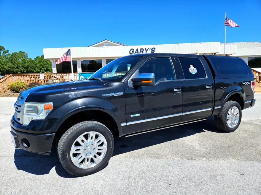 2013 Ford F-150 Platinum photo 1
