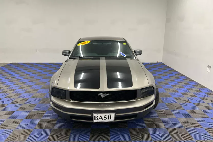 2005 Ford Mustang Deluxe photo 1