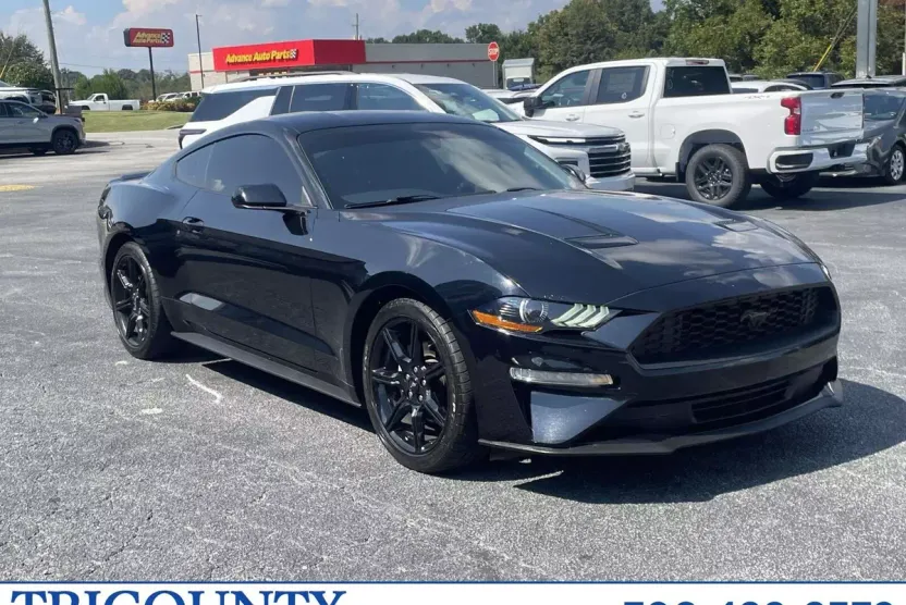 2020 Ford Mustang EcoBoost photo 1