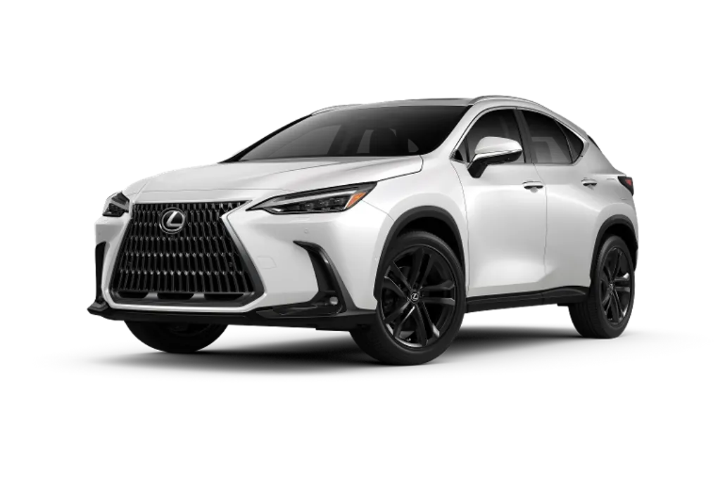 2025 Lexus NX Luxury AWD photo 1