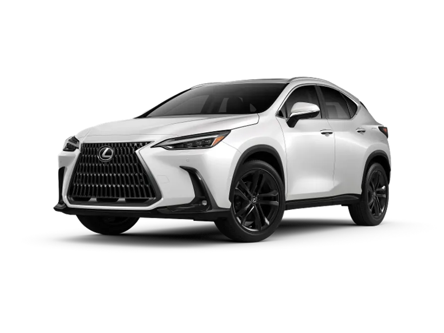 2025 Lexus NX Luxury AWD photo 1