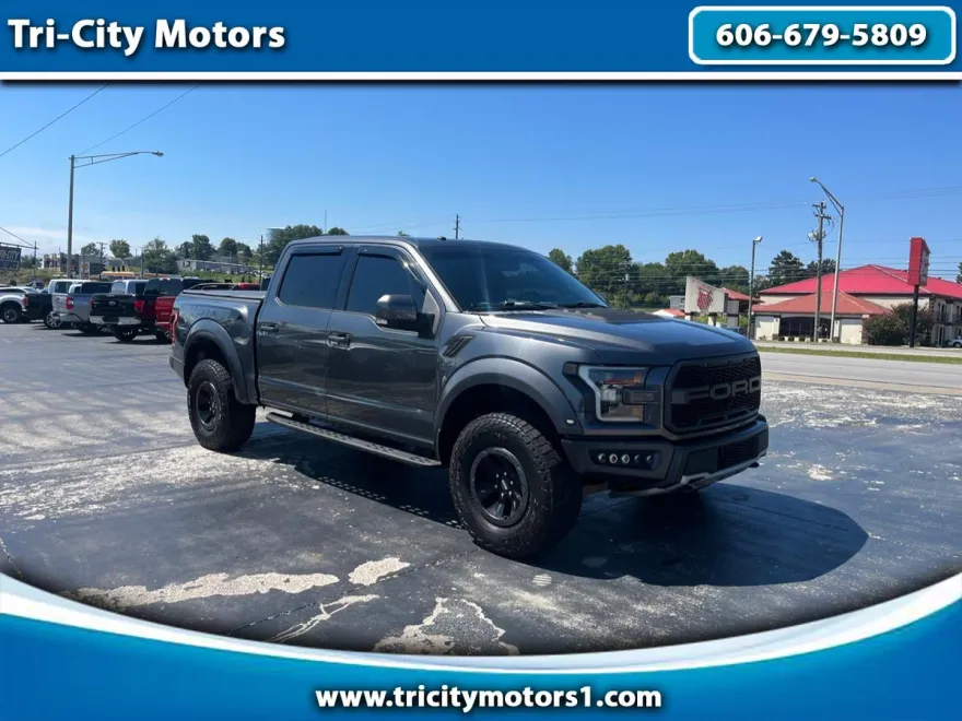 2017 Ford F-150 Raptor photo 1