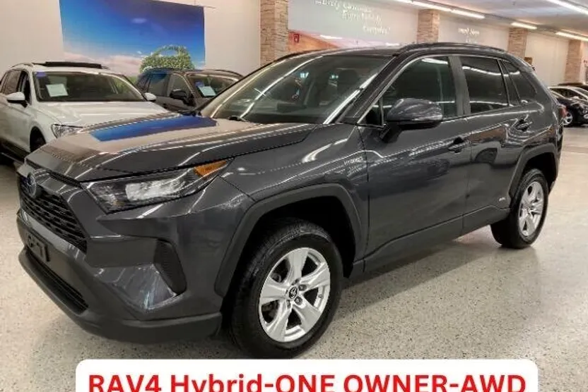 2019 Toyota RAV4 Hybrid LE photo 1